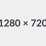 Festa della donna: i fiori più belli da regalare