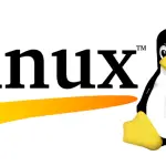 i 5 migliori giochi per Linux