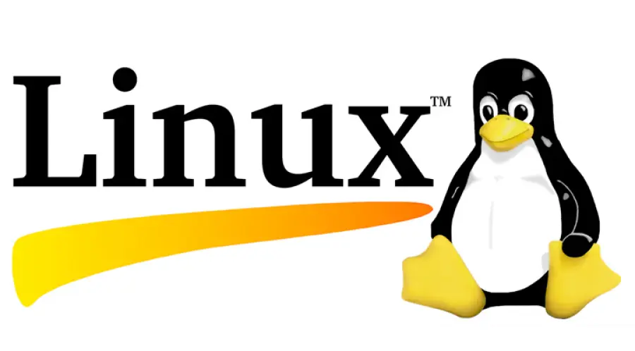 i 5 migliori giochi per Linux