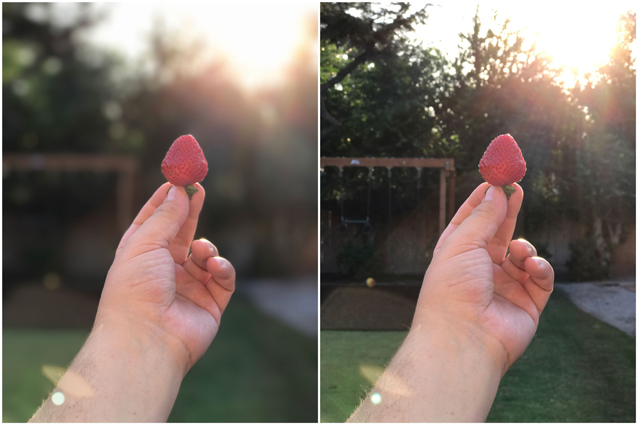 iOS 10.1: c'è la modalità ritratto per iPhone 7 Plus