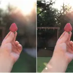 iOS 10.1: c'è la modalità ritratto per iPhone 7 Plus