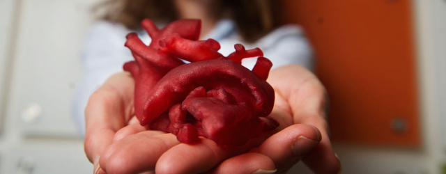 Gli organi del corpo in versione 3D stampata