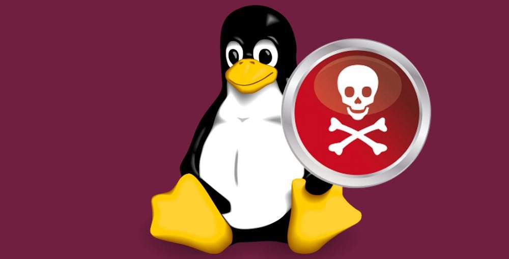 Sicurezza informatica: le minacce maggiori arrivano da Linux