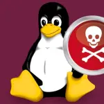 Sicurezza informatica: le minacce maggiori arrivano da Linux